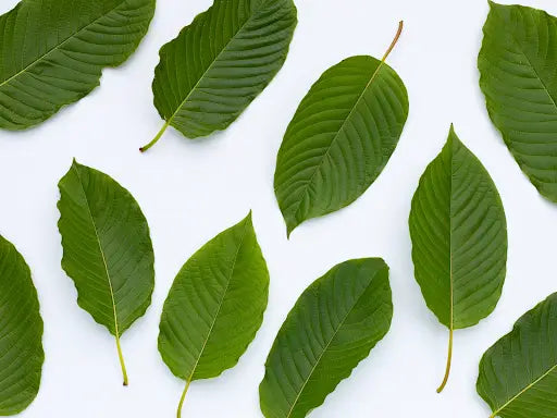 How Long Does It Take for Kratom to Kick In?