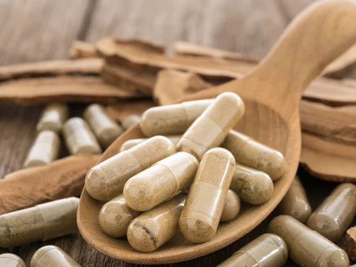 Mushroom Capsules 101: Benefits and How to Use Them