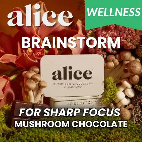 Alice Mushroom Chocolates | Brainstorm