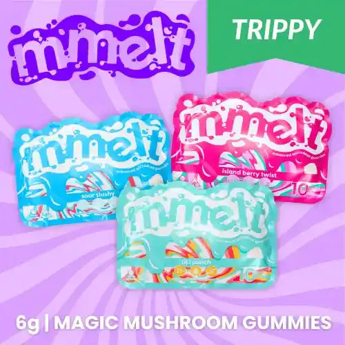 Mmelt | Mushroom Gummies - 6g