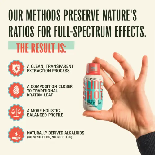 hand holding slingshot shot next to product details