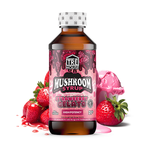 TRĒ House - Mushroom High Potency Syrup