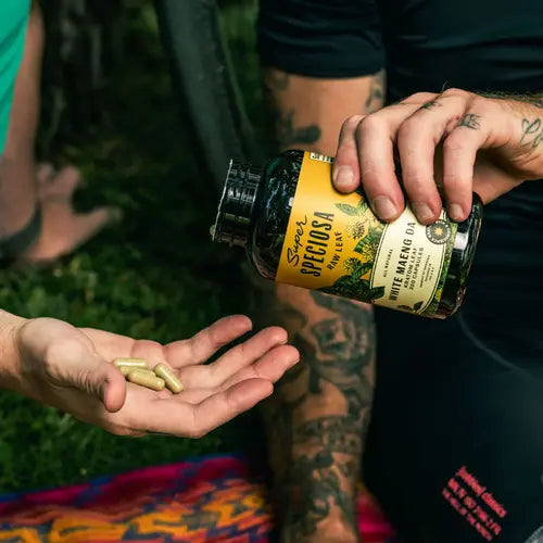 hands holding white maeng da capsules