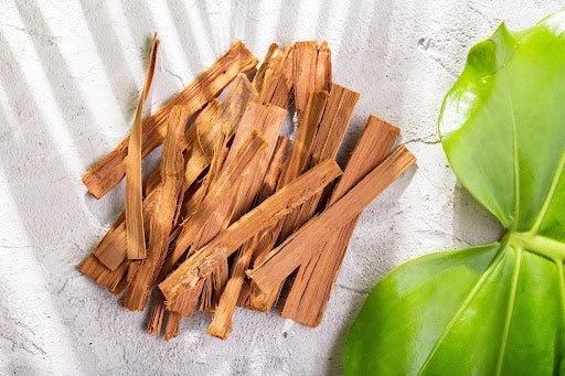 What Is Cat’s Claw? A Quick Guide to This Trending Botanical