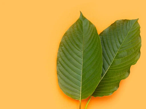 The Best Kratom for Different Uses