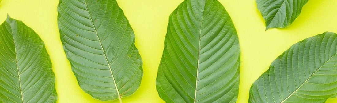What Is Maeng Da Kratom?