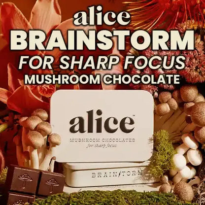 Alice Mushroom Chocolates | Brainstorm