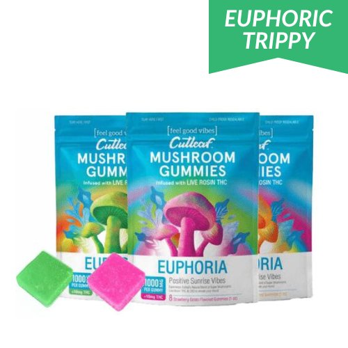 Cutleaf Euphoria Mushroom Gummies Sunrise, magic mushroom gummies, mushroom gummies, mushroom and thc gummies, cbd live resin, mushroom and CBD gummies, daytime mushroom gummies, three colorful blue bags with mushrooms and text next to green square gummy and pink square gummy, mango gelato, strawberry gelato, watermelon gelato, 1000mg