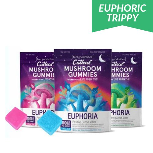 Cutleaf Euphoria Mushroom Gummies Sunset, magic mushroom gummies, mushroom gummies, mushroom and thc gummies, nootropic mushrooms, mushroom and CBD gummies, nighttime mushroom gummies, three colorful purple bags with mushrooms and text next to pink square gummy and blue square gummy, blue razz gelato, grape gelato, melon dew gelato, 1000mg