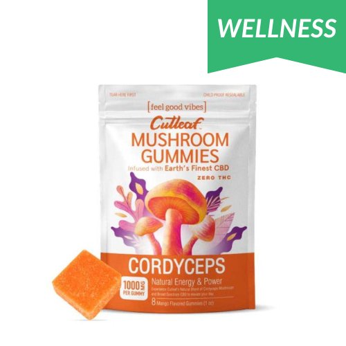 Cutleaf Zero THC Mushroom Gummies Cordyceps, mushroom gummies, wellness mushroom gummies, zero thc, white and orange bag with mushrooms and text next to orange square gummy, cordyceps, mango, 1000mg