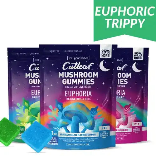 Cutleaf | Euphoria Mushroom Gummies - Sunset - 1000mg