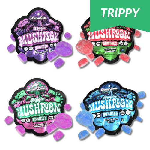 Dream Dose Nootropic Magic Mushroom Gummies, magic mushroom gummies, mushroom gummies, nootropic mushrooms, mushroom microdose, four colorful bags with mushrooms and gummies and text, strawberry stardust, watermelon wonderland, blue cosmic blast, purple berry bliss