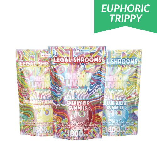 Shroom Living Euphoria Gummies, mushroom gummies, mushroom and kava gummies, Lions Mane & Cordyceps Mushrooms, Kava Kava, Damiana Leaf & Caffeine, three colorful rainbow bags with text, 1800mg