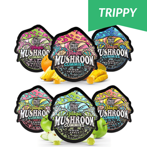 TRĒ House Magic Mushroom Gummies, magic mushroom gummies, mushroom extract gummies, mushroom gummies, microdose mushroom, colorful black packages with oranges and mangos and apples, blue raspberry, juicy mango, strawberry dream, watermelon wonder, sour apple, sour tropical