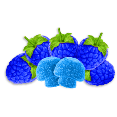 Wunder Amanita Muscaria Mushroom + Kava Gummies, mushroom and kava gummies, amanita muscaria and kava gummies, amanita muscaria, blue raspberries behind two blue mushroom shaped gummies