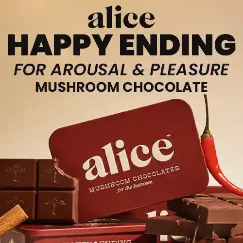 Alice Mushroom Chocolates | Happy Ending