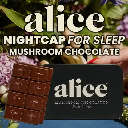 Alice Mushroom Chocolates | Nightcap