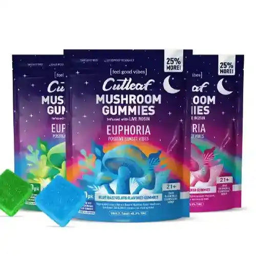 Cutleaf | Mushroom Gummies - Sunset - 1000mg