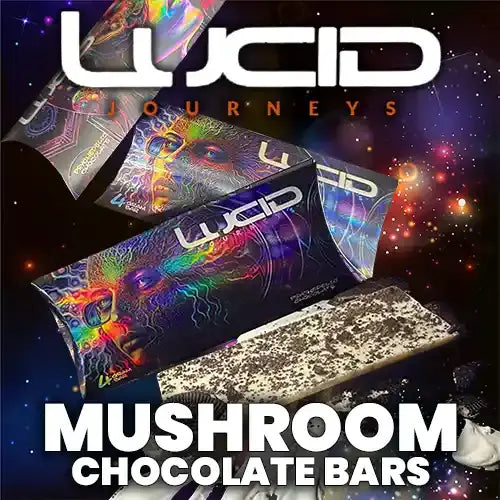 Lucid Journeys - Mushroom Chocolate Bar - 4g