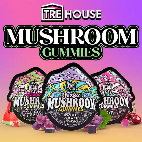 TRĒ House | Mushroom Gummies - 15pk