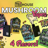 TRĒ House Magic Mushroom Disposable Vape Pens, mushroom vape pen, magic mushroom vape pen, disposable mushroom vape pen, blue and black box with black vape and blue jello square, pink and black box with black vape and lemons, green and black box with black vape and apples, yellow and black box with black vape and mango smoothie, trippy