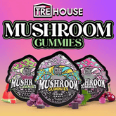 TRĒ House | Mushroom Gummies - 15pk