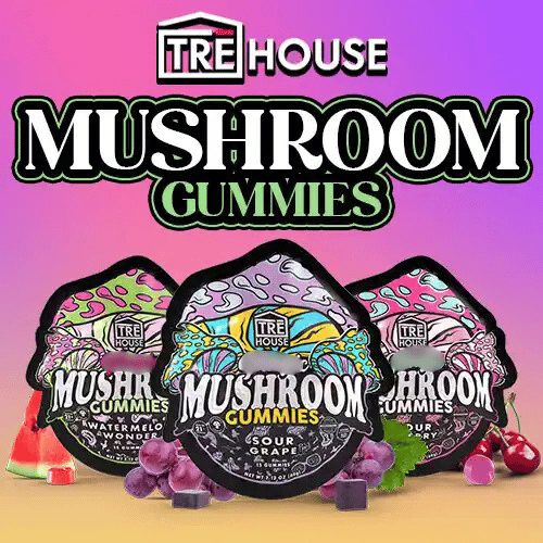 TRĒ House | Mushroom Gummies - 15pk